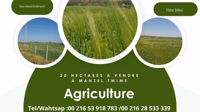 20 hectare agricultural land in Manzel Temim
