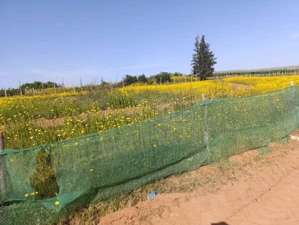 Ferme à vendre à Sidi Allal El Bahraoui.
Surface de 17000 m²