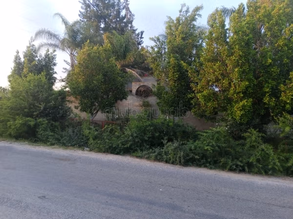 Ferme à la vente à Sidi Allal El Bahraoui.
Surface de 10000 m²