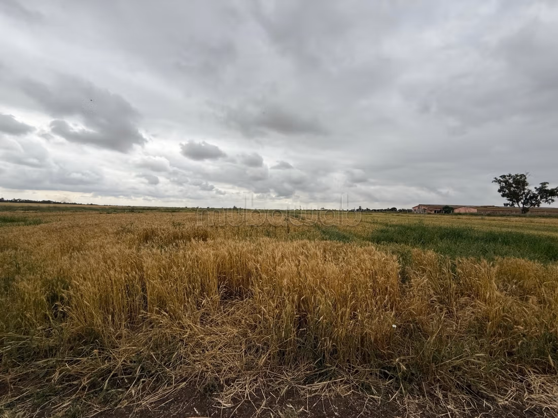 Terrain en vente à Béni Yakhlef. 
Surface totale 30100 m²