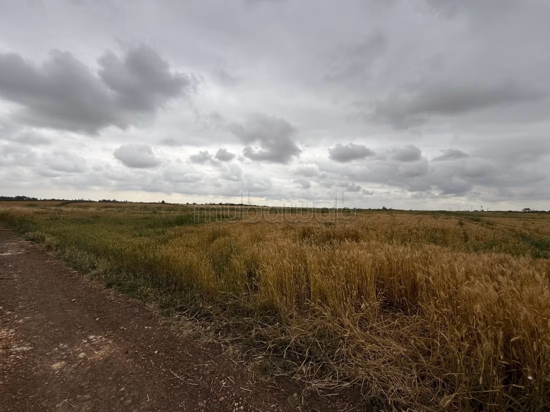 Terrain en vente à Béni Yakhlef. 
Surface totale 30100 m²