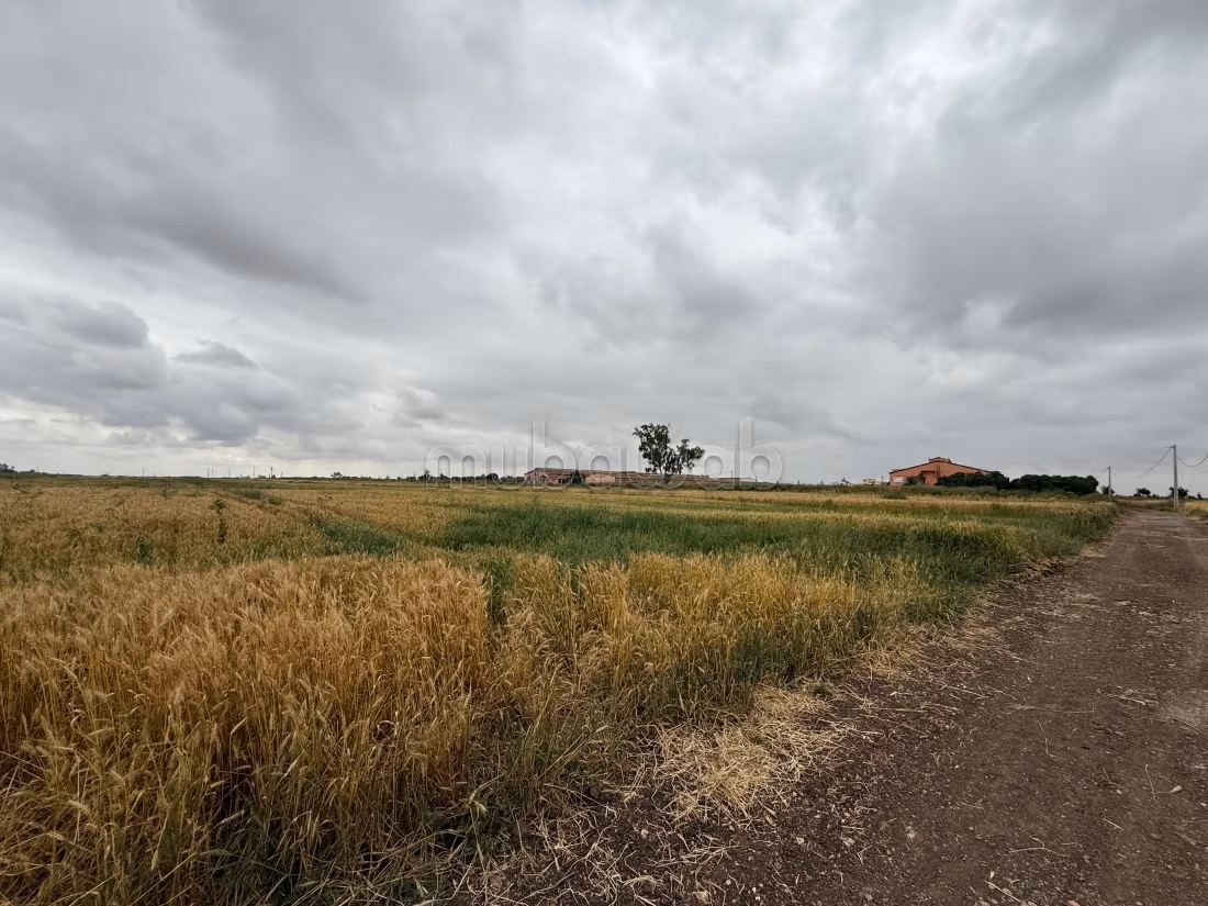Terrain en vente à Béni Yakhlef. 
Surface totale 30100 m²