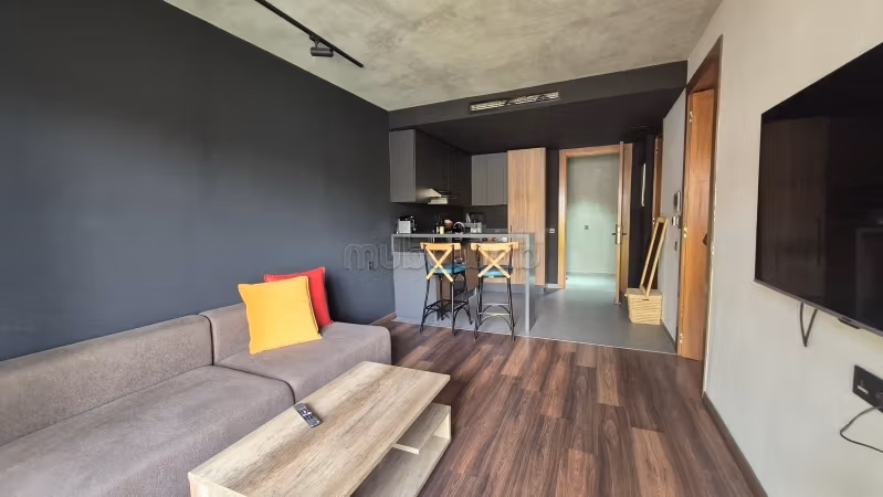 A louer Studio meublé 50m2 Gauthier