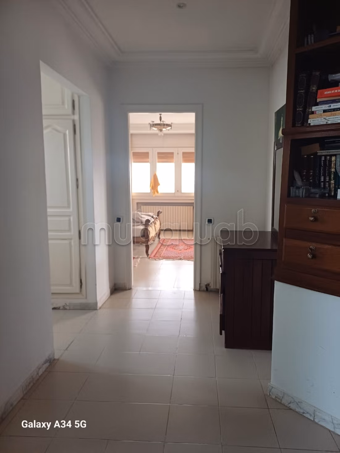 Location villa vide ou meublé aEl menzah 9