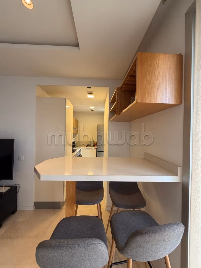 Magnifique studio meublé au 11 eme etage, résidence BO52, cuisine séparée, grande terrasse, — 3
