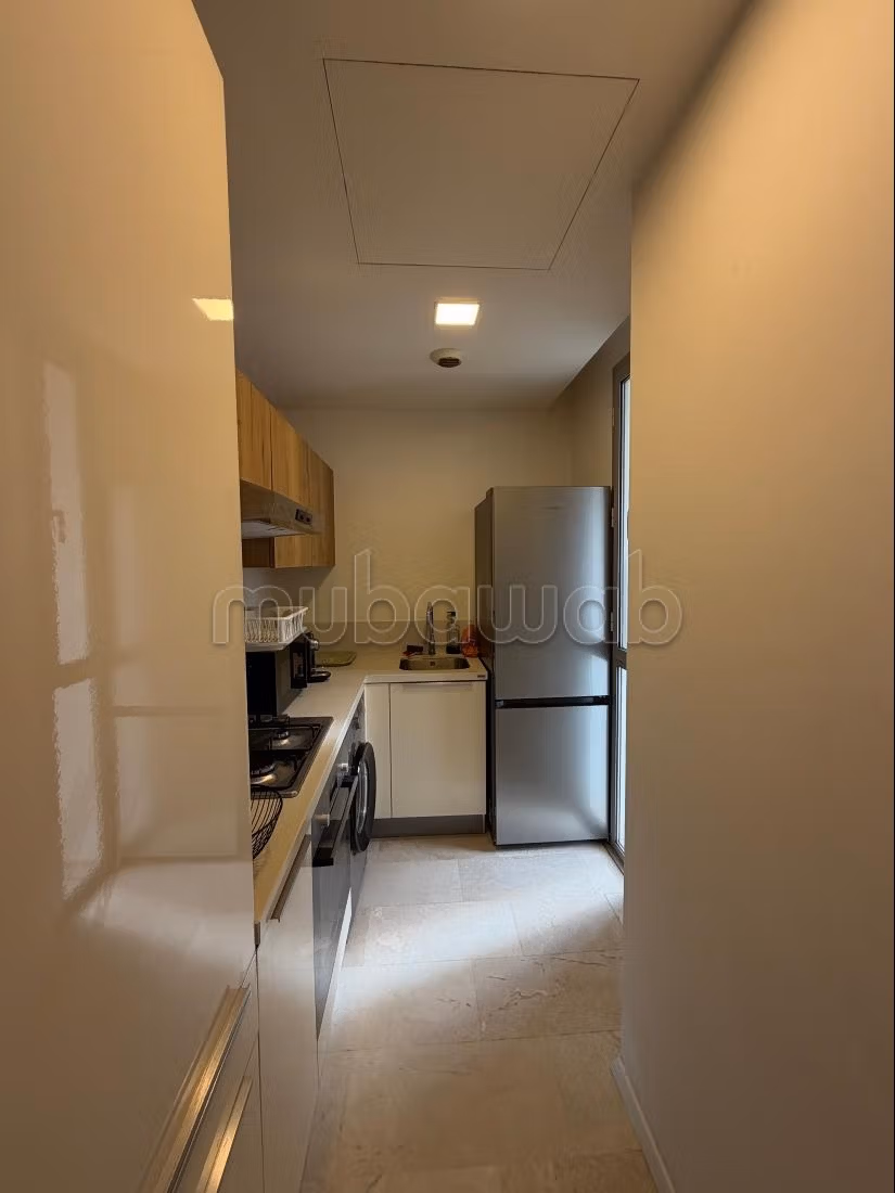 Magnifique studio meublé au 11 eme etage, résidence BO52, cuisine séparée, grande terrasse, — 4