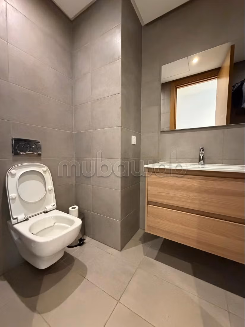 Magnifique studio meublé au 11 eme etage, résidence BO52, cuisine séparée, grande terrasse, — 5