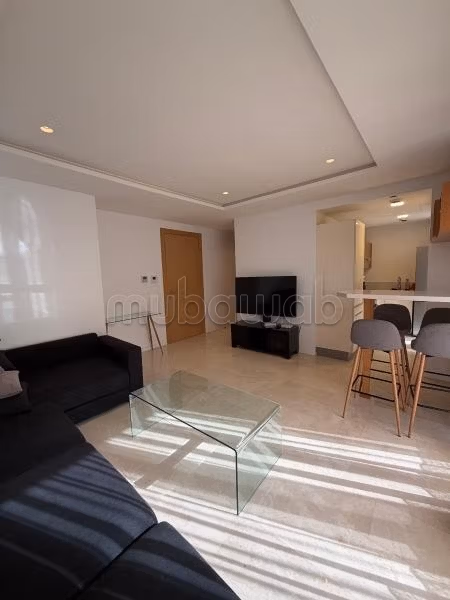 Magnifique studio meublé au 11 eme etage, résidence BO52, cuisine séparée, grande terrasse,