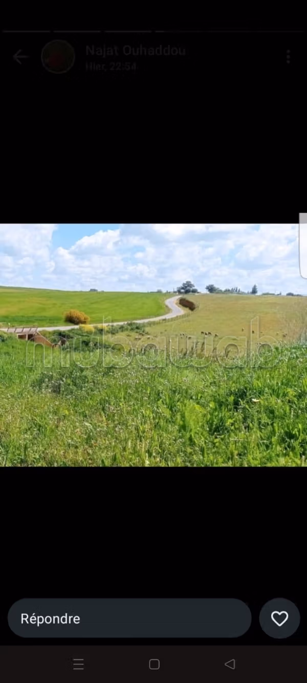 Beau terrain à la vente à Sidi Allal El Bahraoui.
Superficie 200000 m²