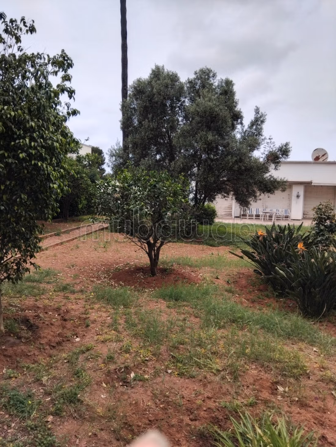 A Vendre Terrain De 1800 m² Quartier Polo Casa