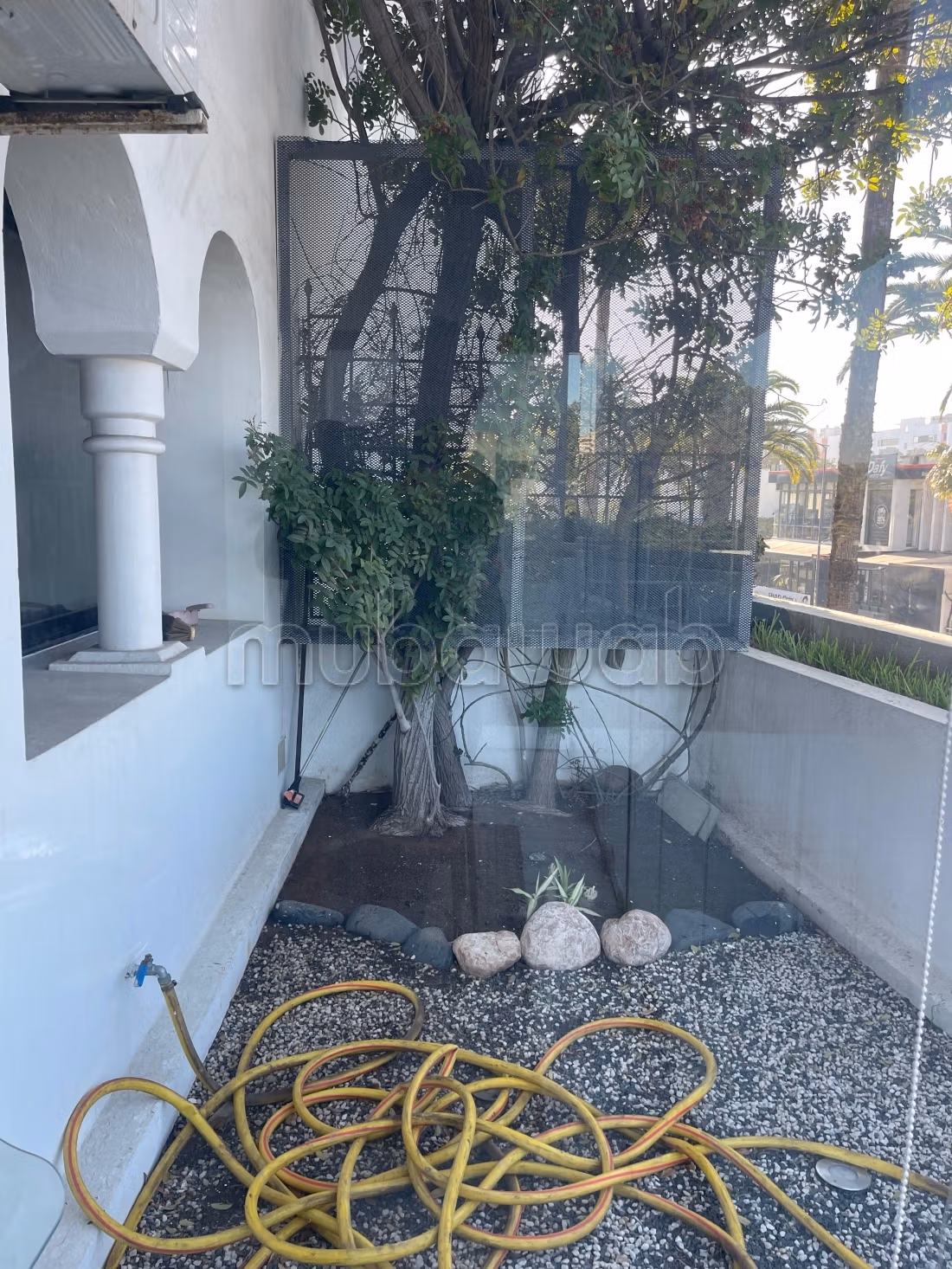 Appartement en location à Les princesses Yasmine signature.
Surface totale 360 m².
Bien meublé — 5