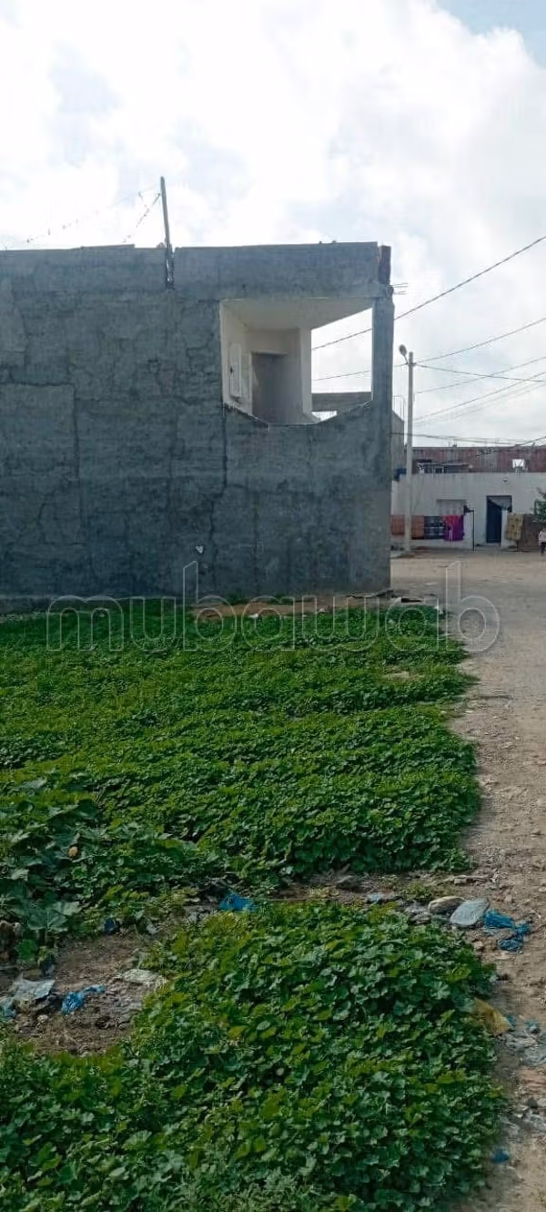 2 terrains à Korba
