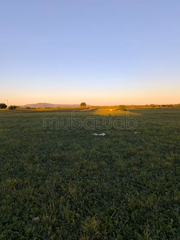 Terrain agricole a Aban el hawaria