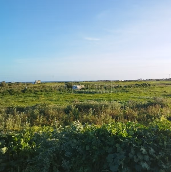 Terreno con vista mare a Kelibia