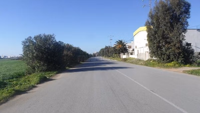 Terrain sur la route principale à hammem el ghzez
