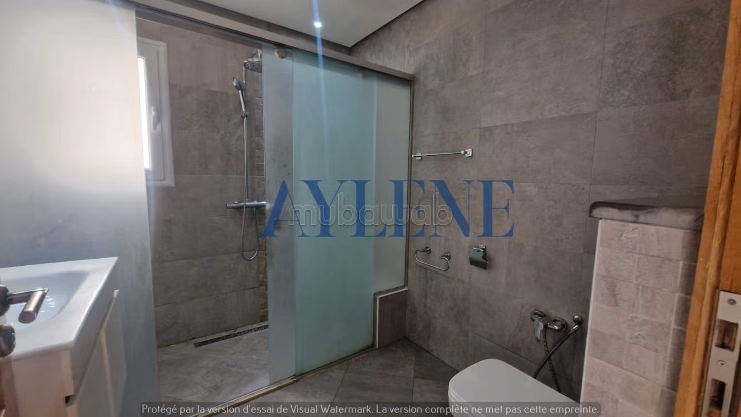 Magnifico Duplex S6 a La Marsa