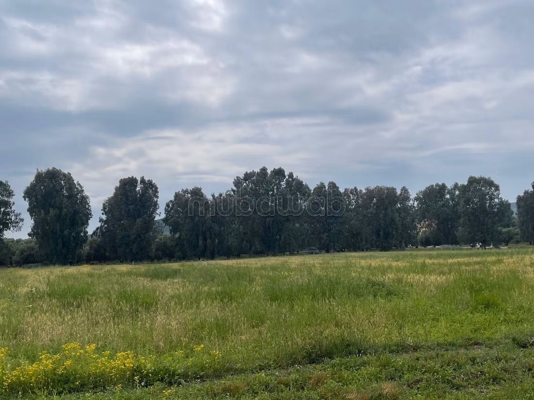 Venta de terreno. Superficie 4000 m²