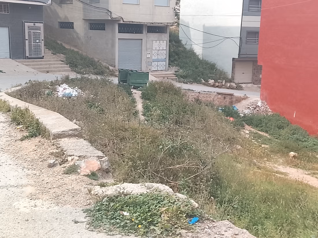 ميرادور الحسيمة