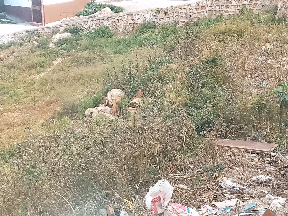 ميرادور الحسيمة