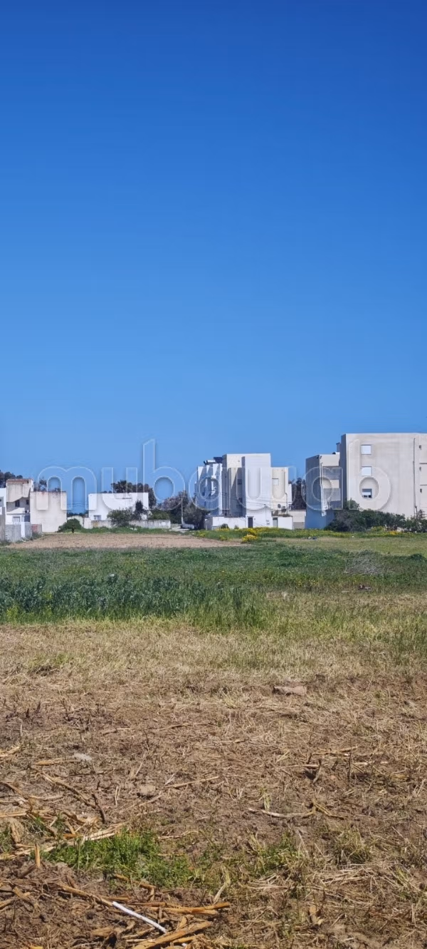 Terrain a 200 m de la plage hammem el ghzez