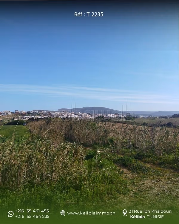 Terreno di un ettaro in vendita a El Haouaria