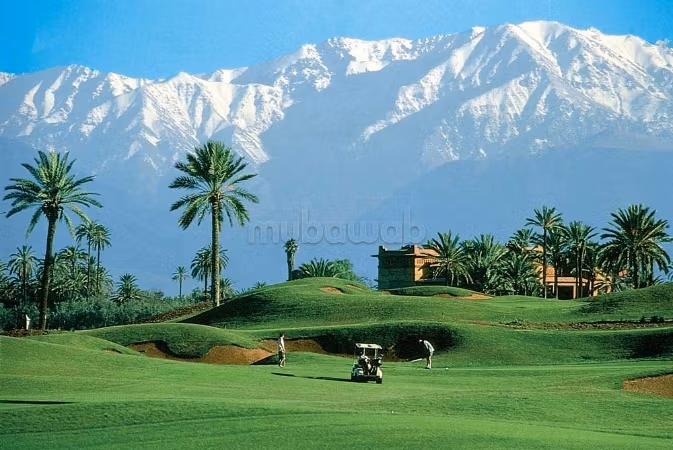 Terrain Front Golf Amelkis 2