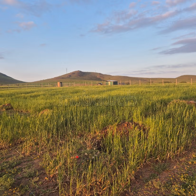 Vente de terrain à Route Casablanca.
Surface de 2500 m²