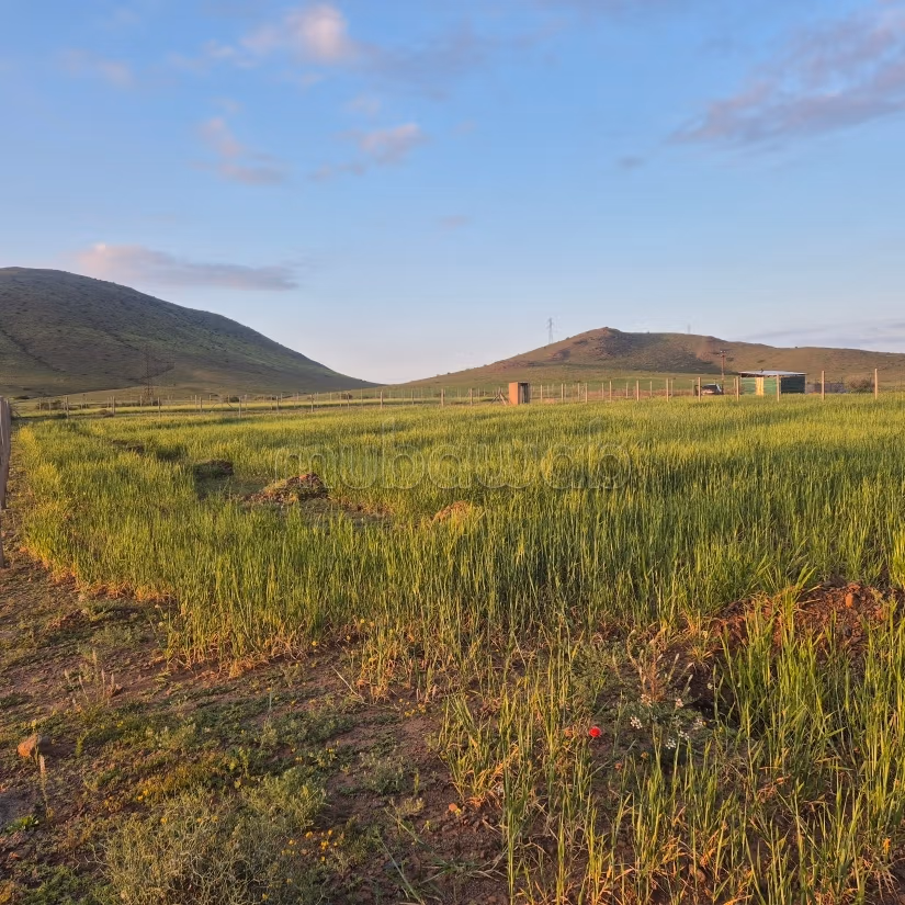 Vente de terrain à Route Casablanca.
Surface de 2500 m²
