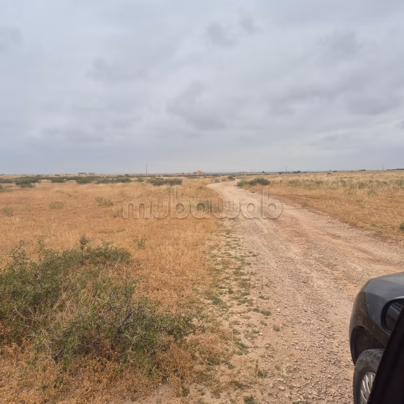 Achat de terrain titré à 10km Route Casablanca.
Surface de 40000 m²