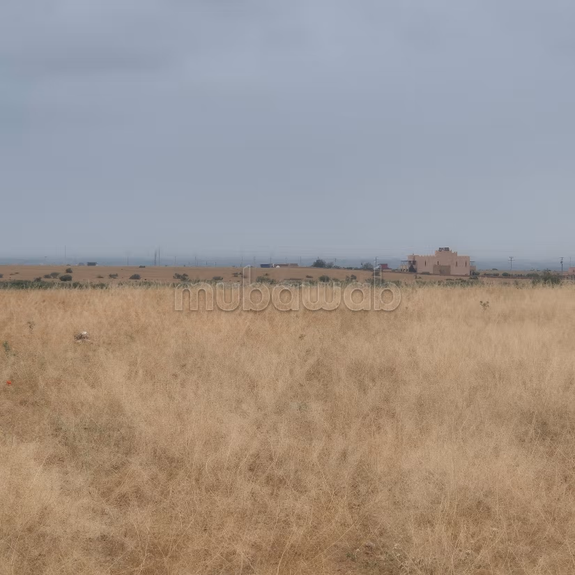 Achat de terrain titré à 10km Route Casablanca.
Surface de 40000 m²