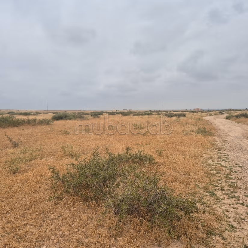 Achat de terrain titré à 10km Route Casablanca.
Surface de 40000 m²