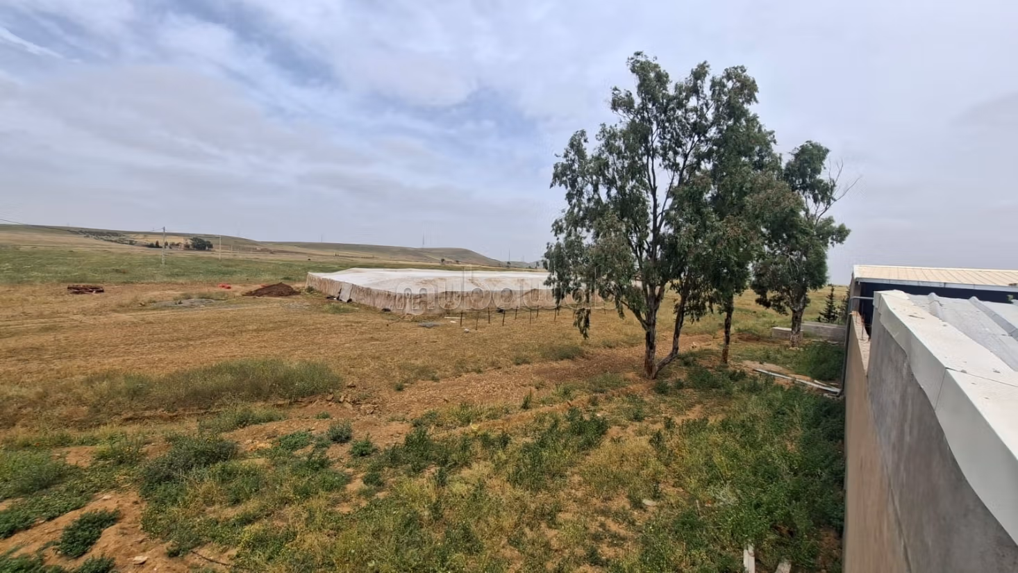 Land om te kopen. Oppervlakte 530000 m²
