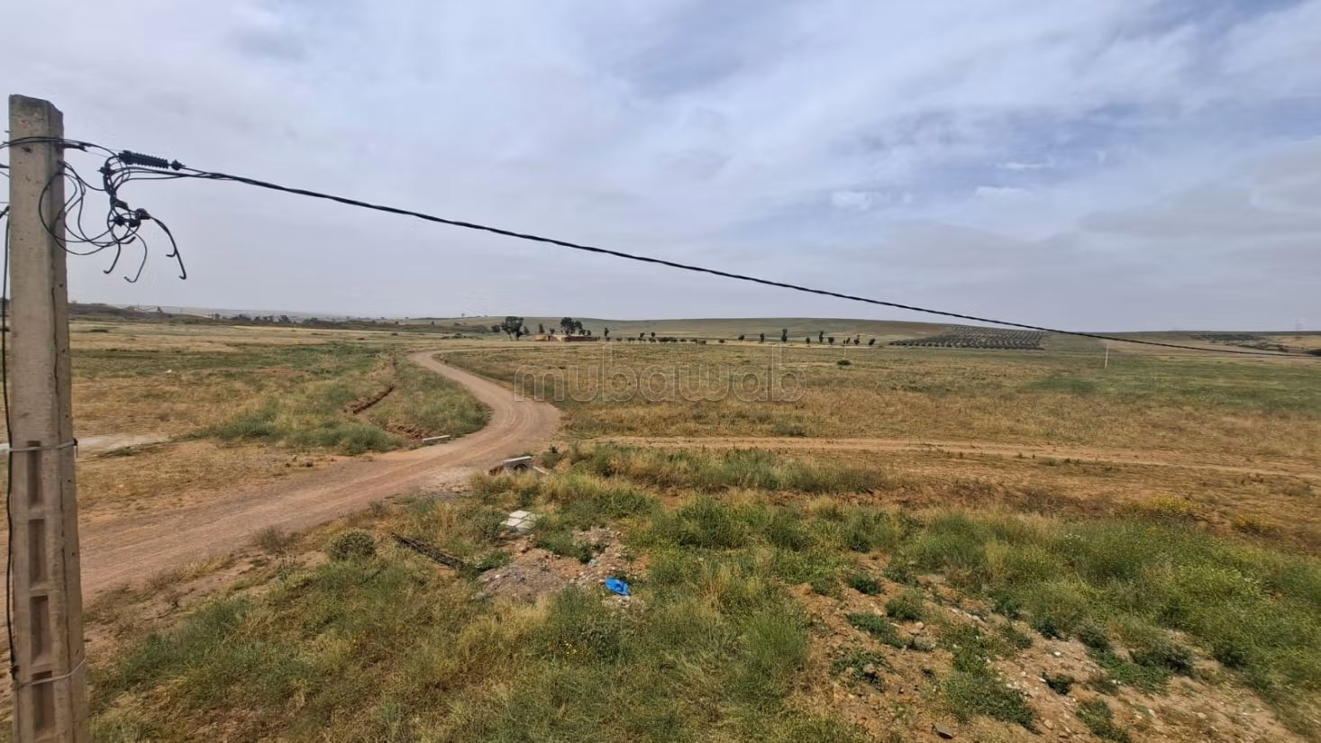 Land om te kopen. Oppervlakte 530000 m²