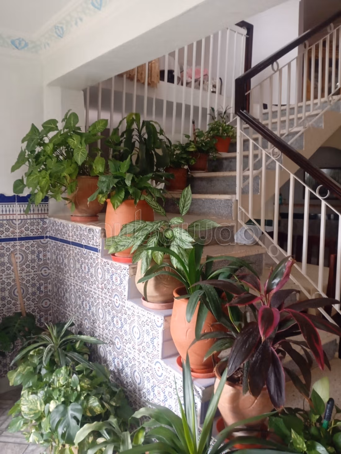 Casa con comercios en venta