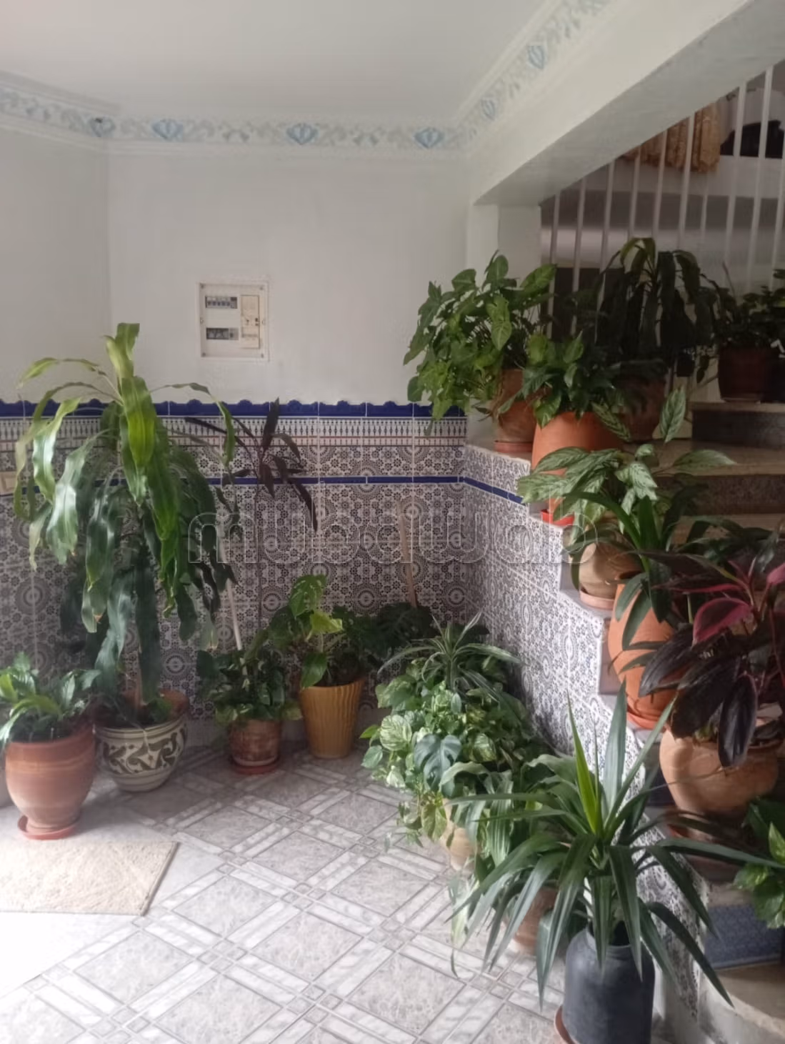 Casa con comercios en venta