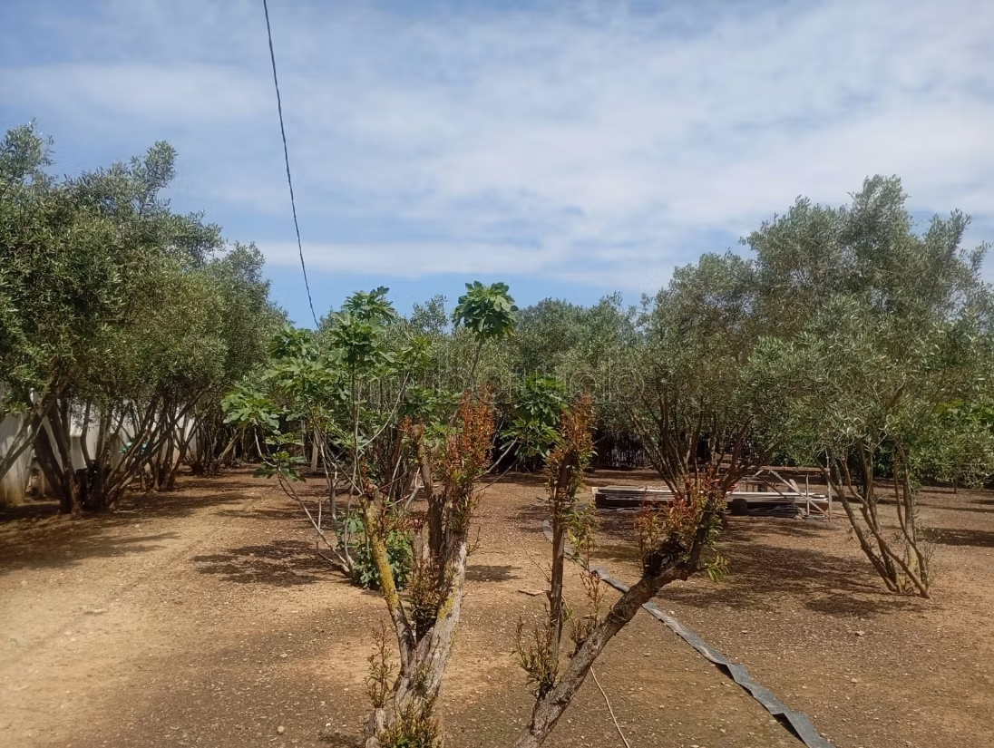 Casa con comercios en venta