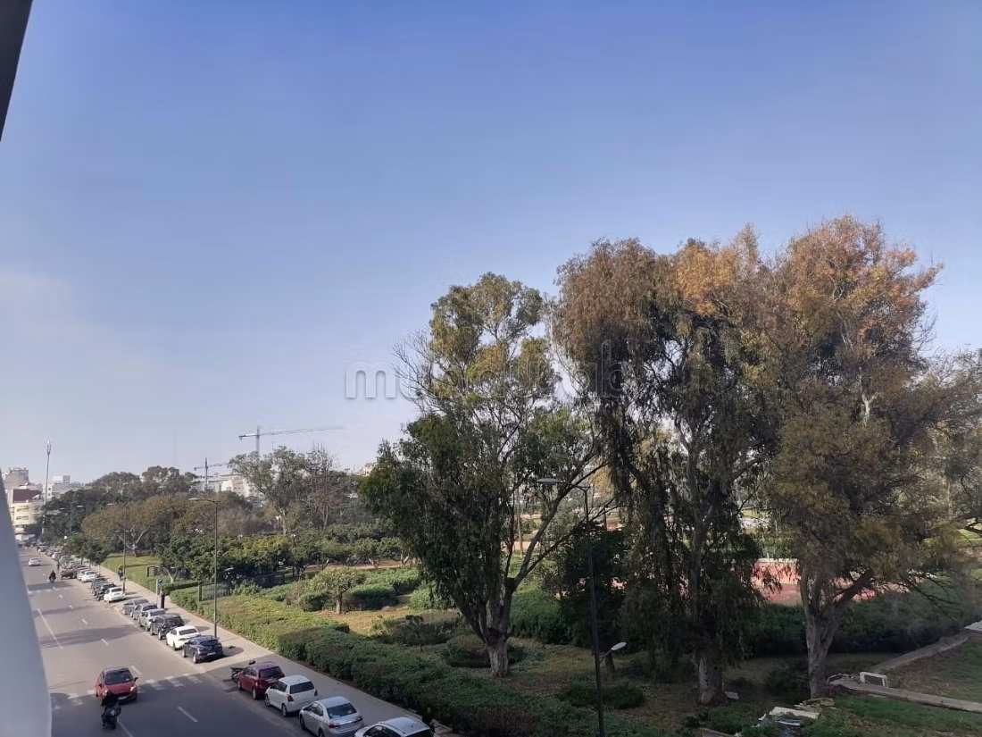 Two-bedroom apartment for rent with park view
