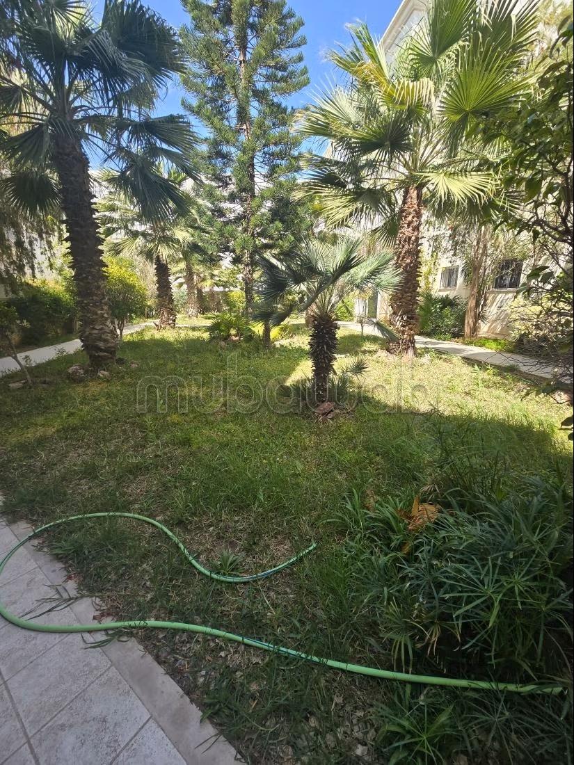 Appartement s2 location vide