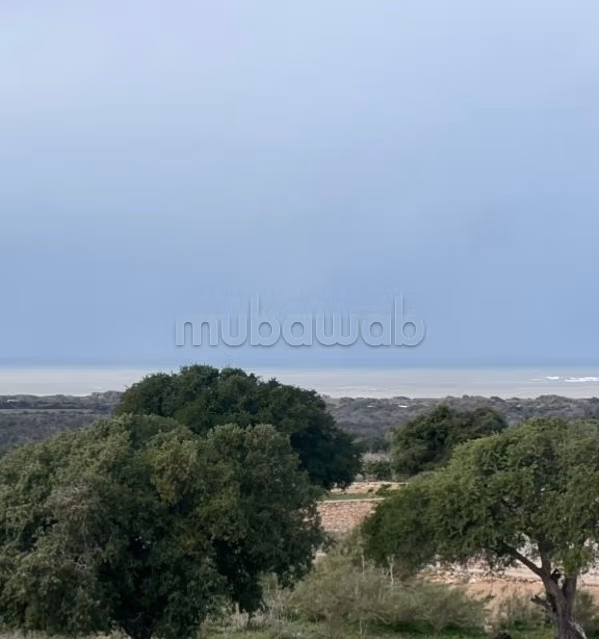 Terrain vue mer projet Touristique/Zone Urbaine