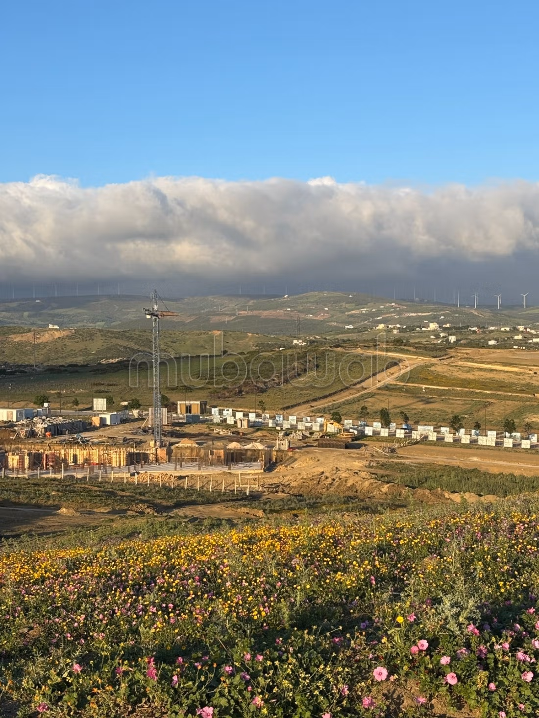 Vente de terrain à Tanja balia.
Superficie 100 m²