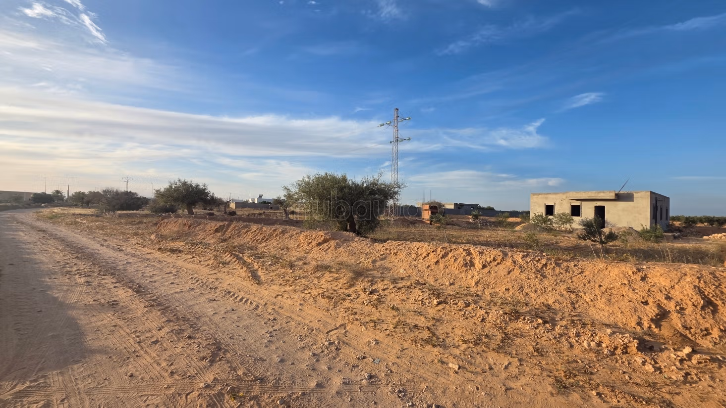 Opportunità Agricola da Cogliere – Khnensa, Ajim