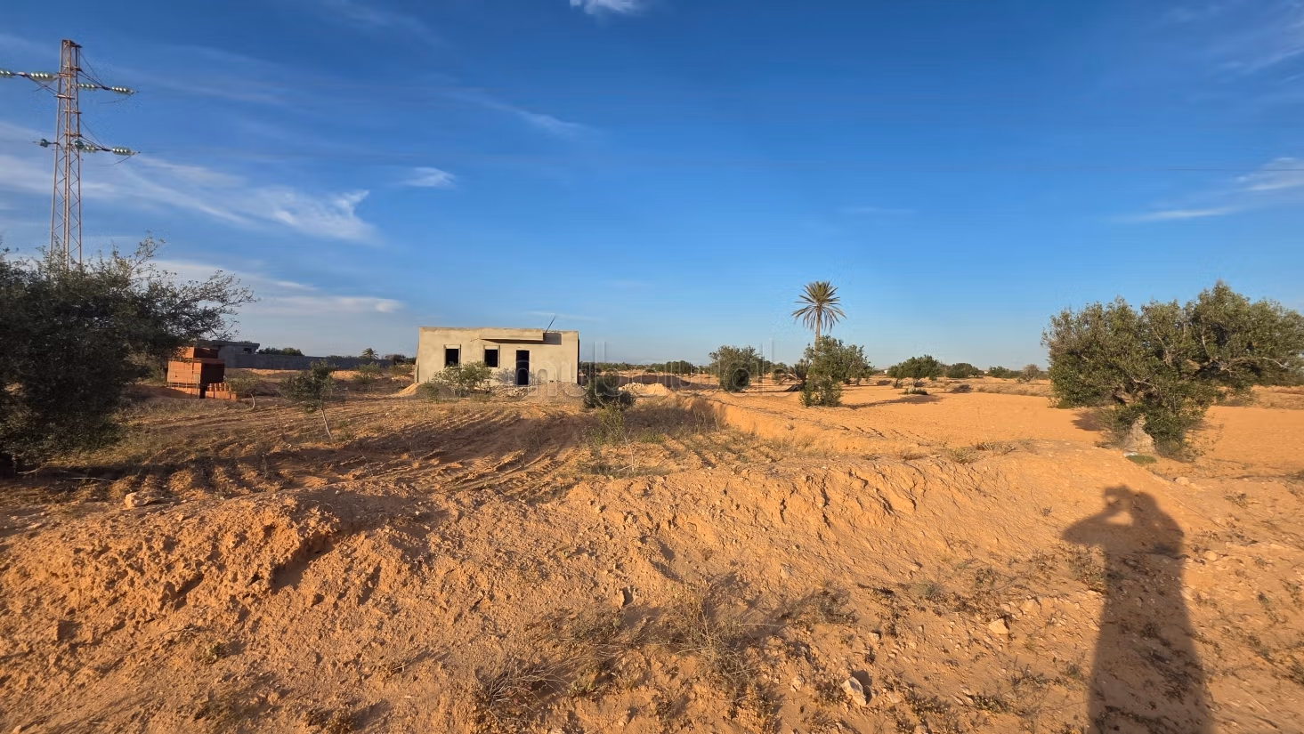 Opportunità Agricola da Cogliere – Khnensa, Ajim