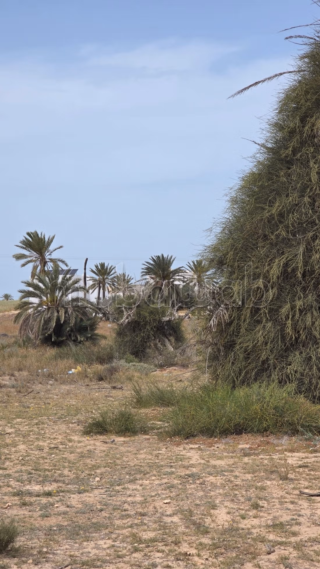 Terreno magnifico di 4.096 m² Intestato a Ghizen