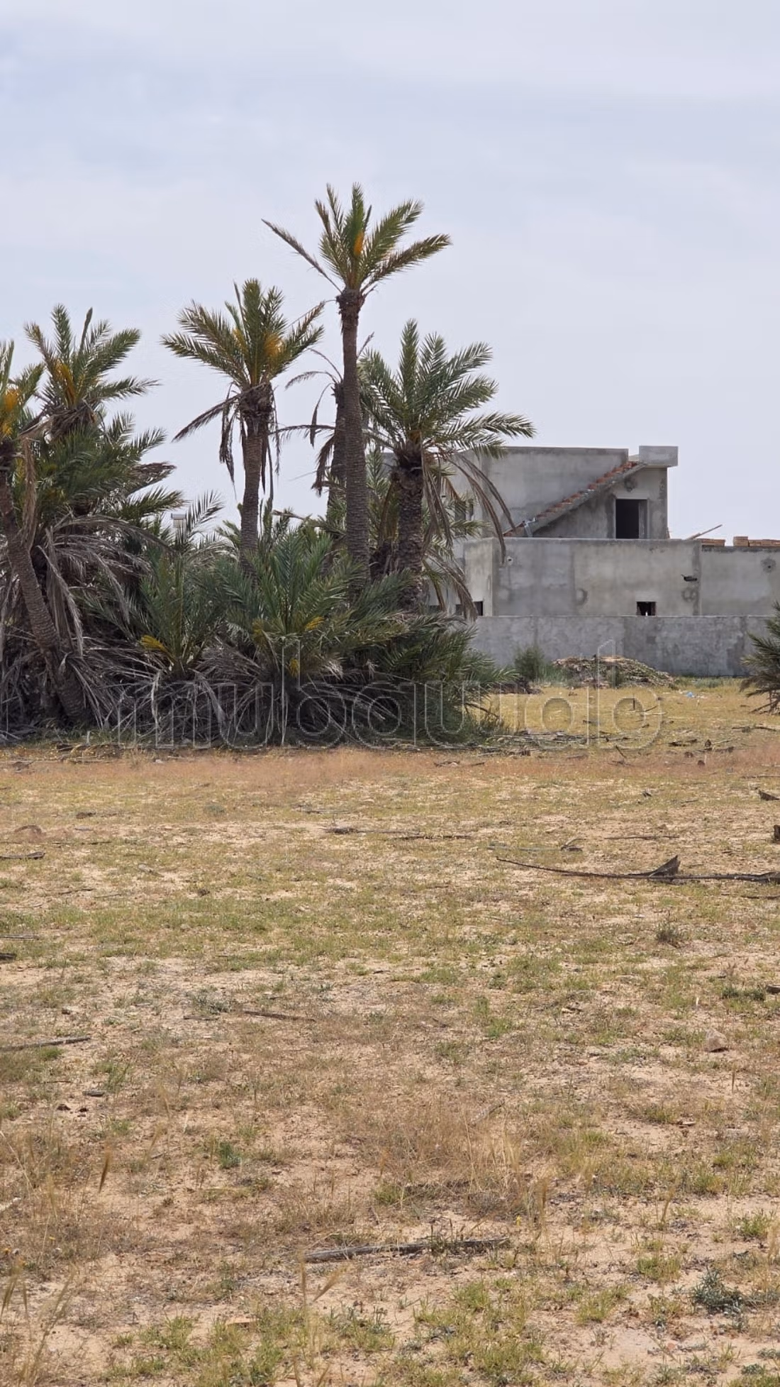 Terreno magnifico di 4.096 m² Intestato a Ghizen