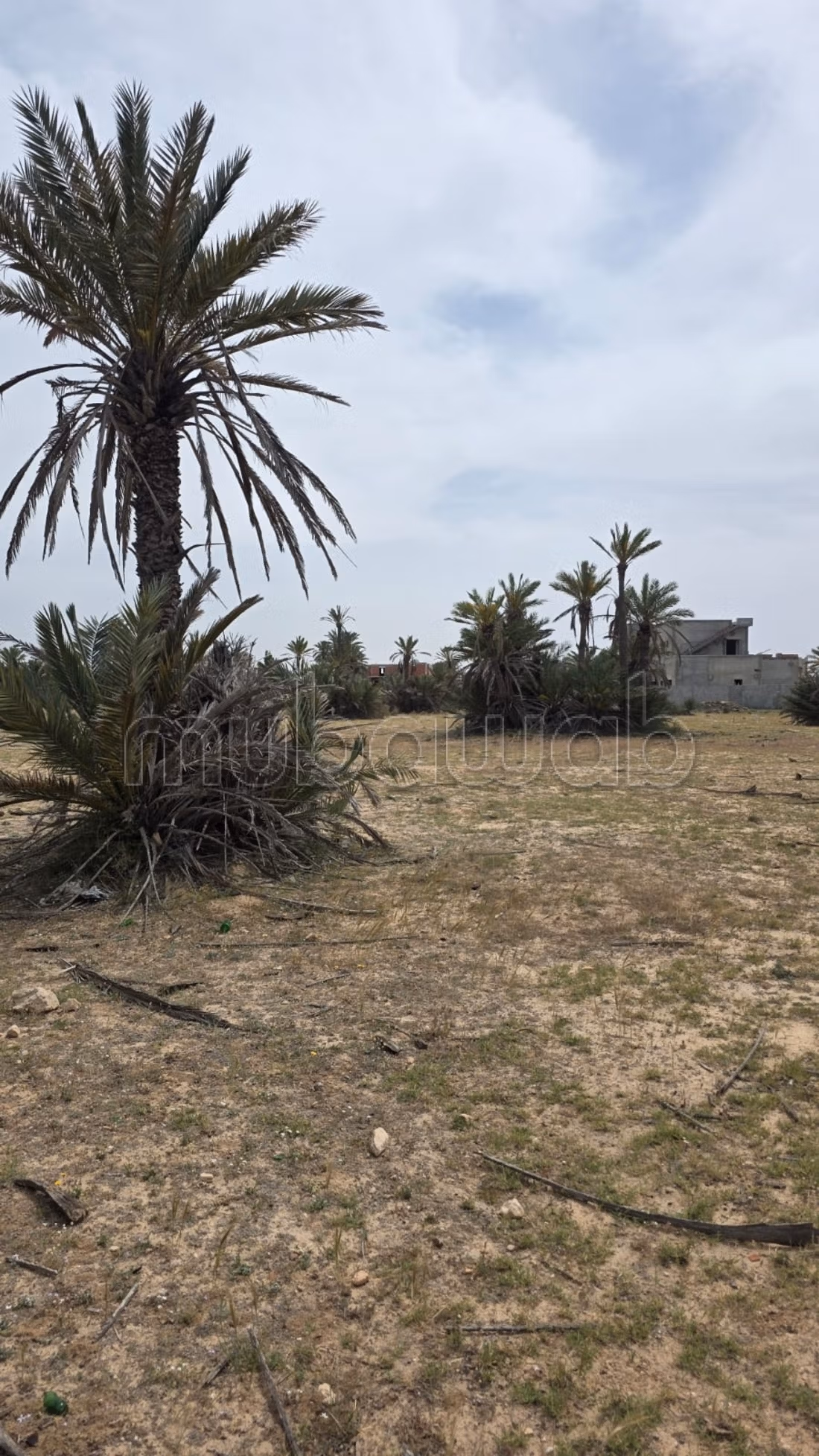 Terreno magnifico di 4.096 m² Intestato a Ghizen