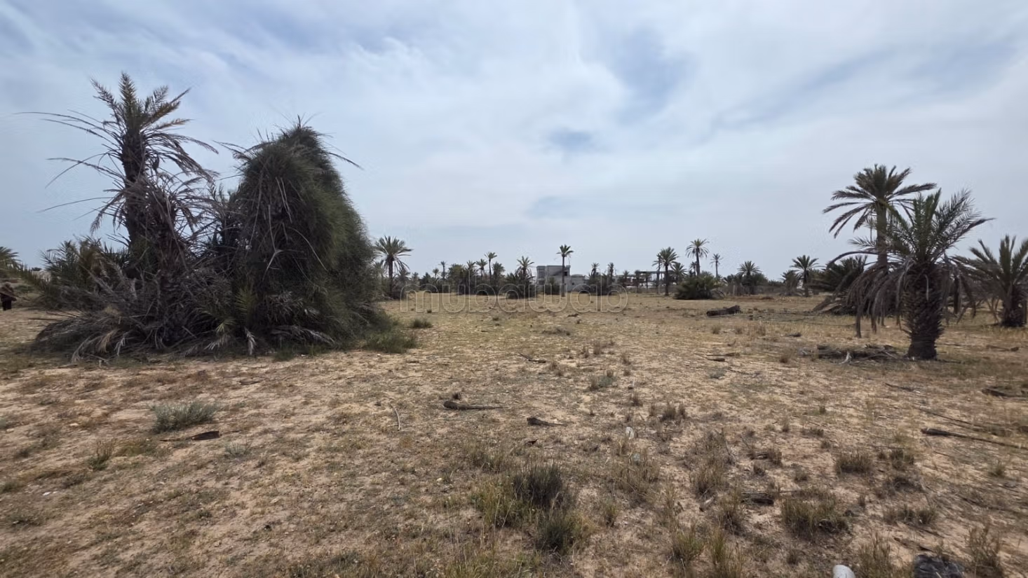 Terreno magnifico di 4.096 m² Intestato a Ghizen