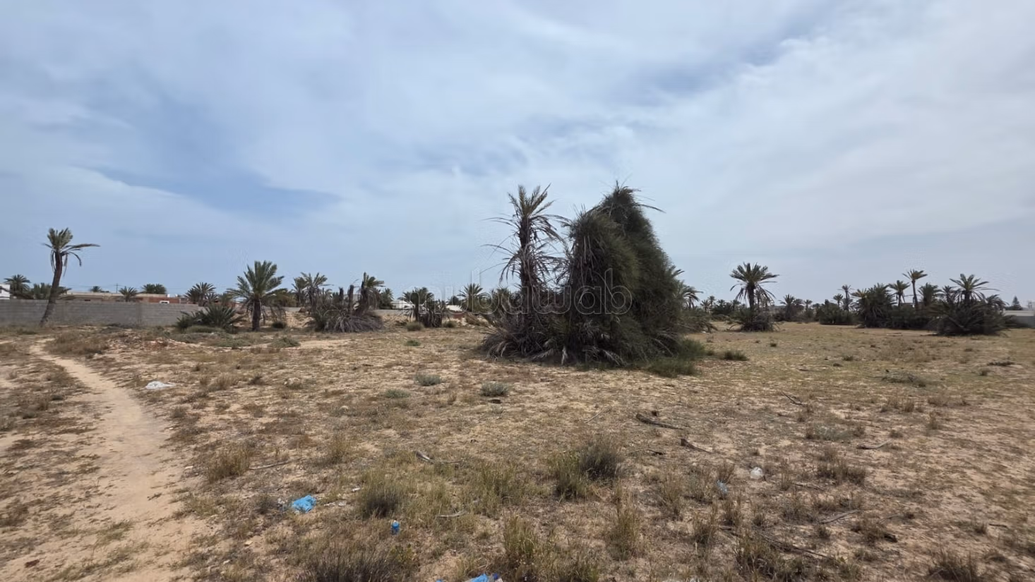 Terreno magnifico di 4.096 m² Intestato a Ghizen