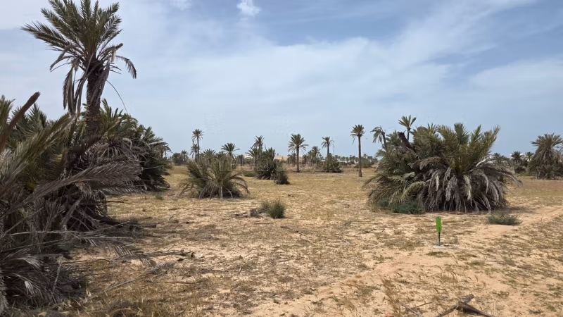 Terreno magnifico di 4.096 m² Intestato a Ghizen