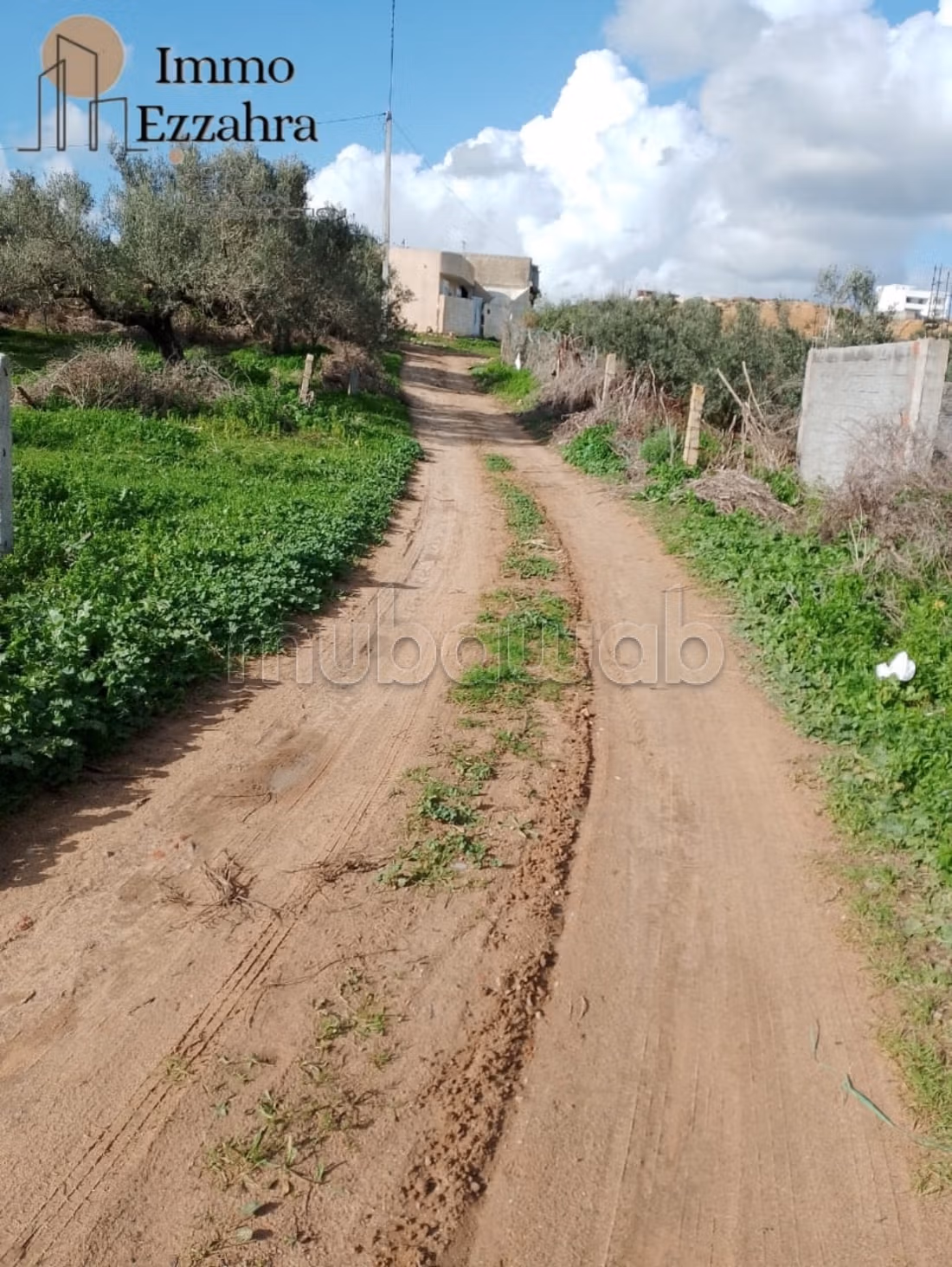 Terreno a 700 m dalla spiaggia ezzahra kelibia