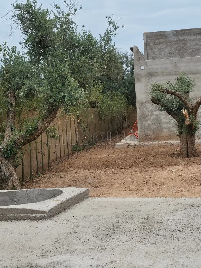 Villa semi finie Titré